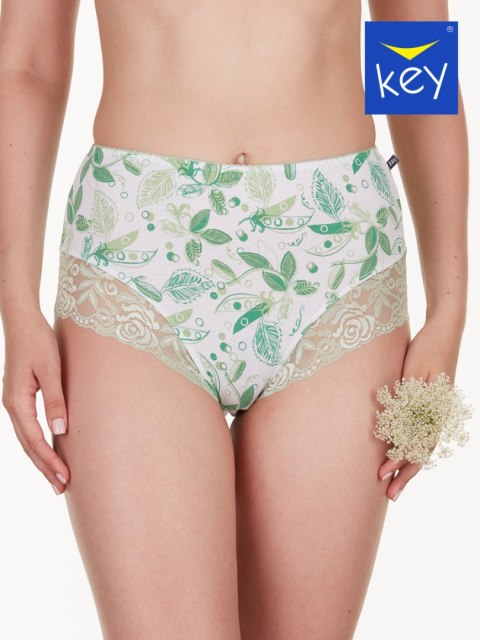 KEY Figi LPF 301 A22